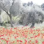 Hort De L'aubert Lägenhet *