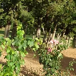 Hort De L'aubert *