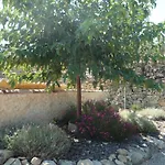 Hort De L'aubert *