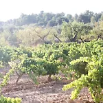 公寓 Hort De L'aubert