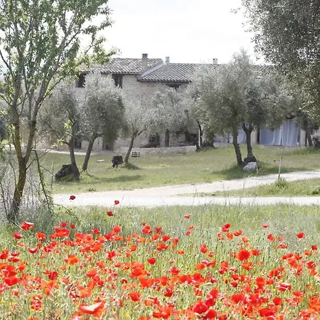 Apartamento Hort De L'aubert