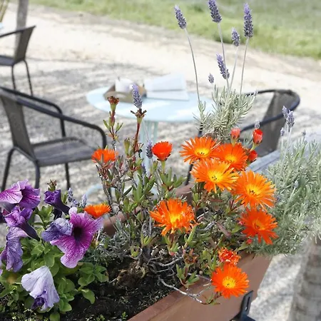 Apartamento Hort De L'aubert Cretas