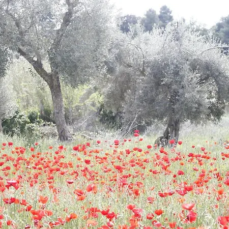 Hort De L'aubert Appartement *