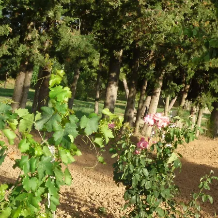 Hort De L'aubert *