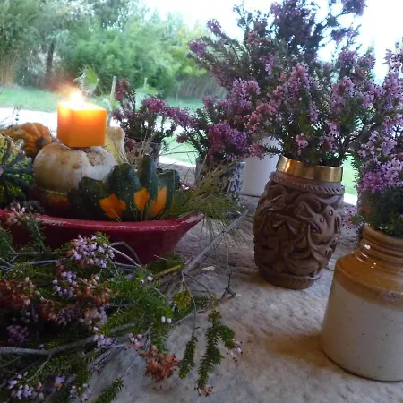 Hort De L'aubert Apartamento
