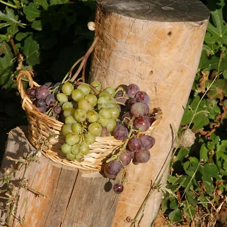 Hort De L'aubert Apartamento *