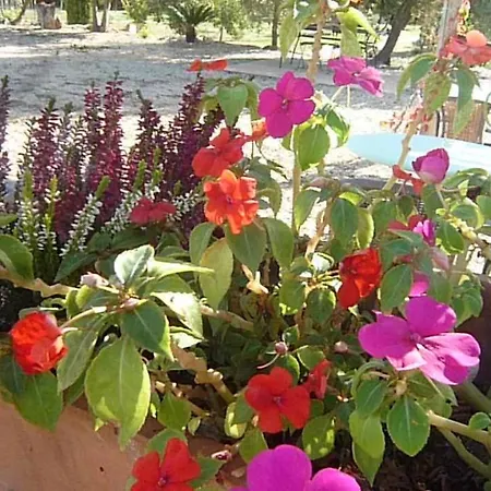 Hort De L'aubert Cretas