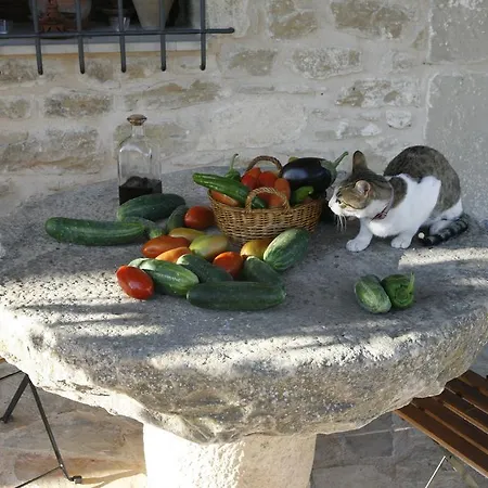 Hort De L'aubert Appartement Cretas