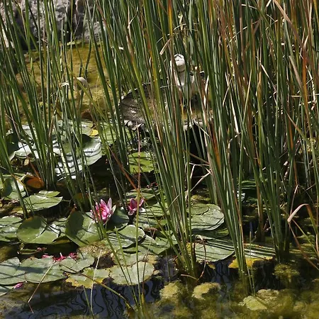 Hort De L'aubert