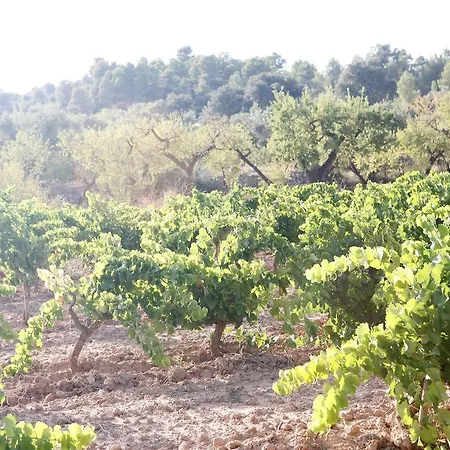 Lejlighed Hort De L'aubert
