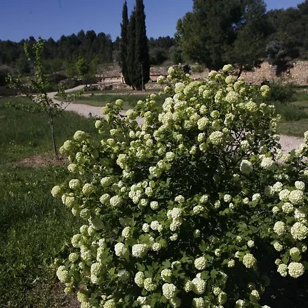 Hort De L'aubert Apartamento *