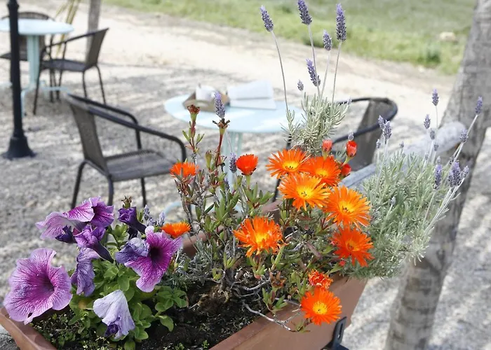 Apartamento Hort De L'aubert Cretas