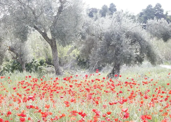 Hort De L'aubert Apartamento *