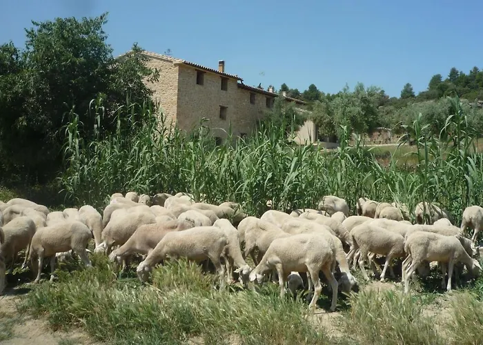Hort De L'aubert Apartamento Cretas