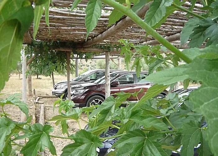 Hort De L'aubert Apartamento *