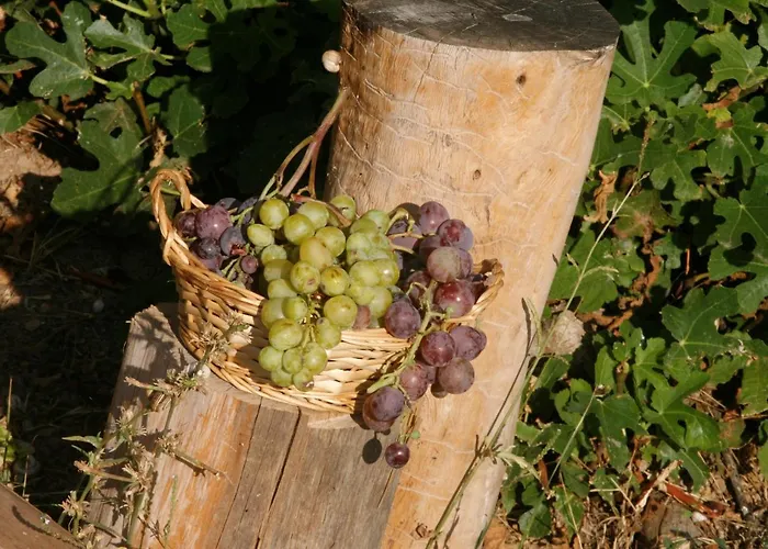 Hort De L'aubert Apartamento *