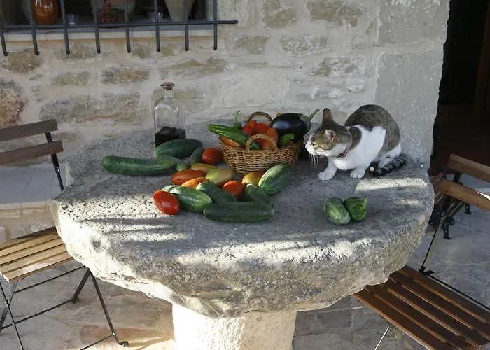 Hort De L'aubert Apartamento Cretas