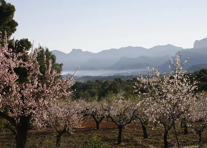 Hort De L'aubert Apartamento *