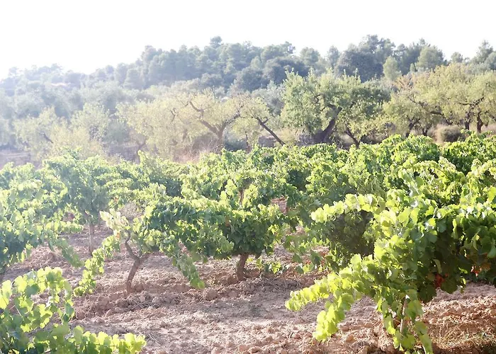 Apartamento Hort De L'aubert