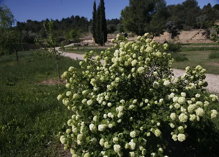 Hort De L'aubert Apartamento *